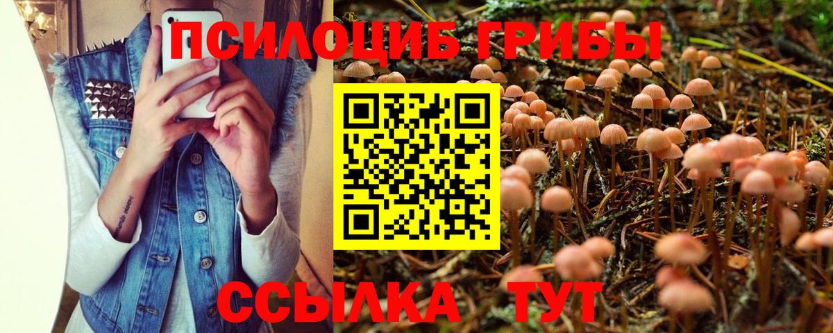 Галлюциногенные грибы прущие грибы Вязьма