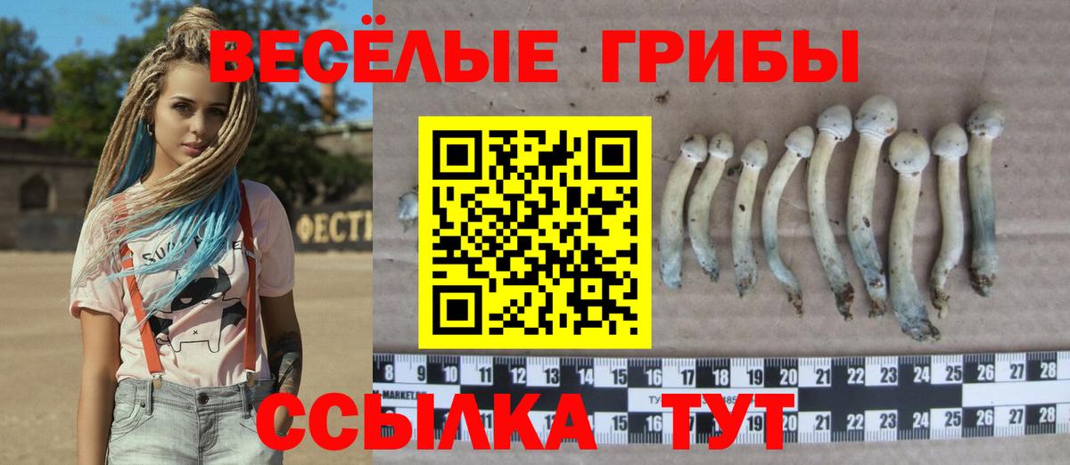 наркота  Галлюциногенные грибы Magic Shrooms  Вход с VPN  Вязьма  Галлюциногенные грибы мухоморы 